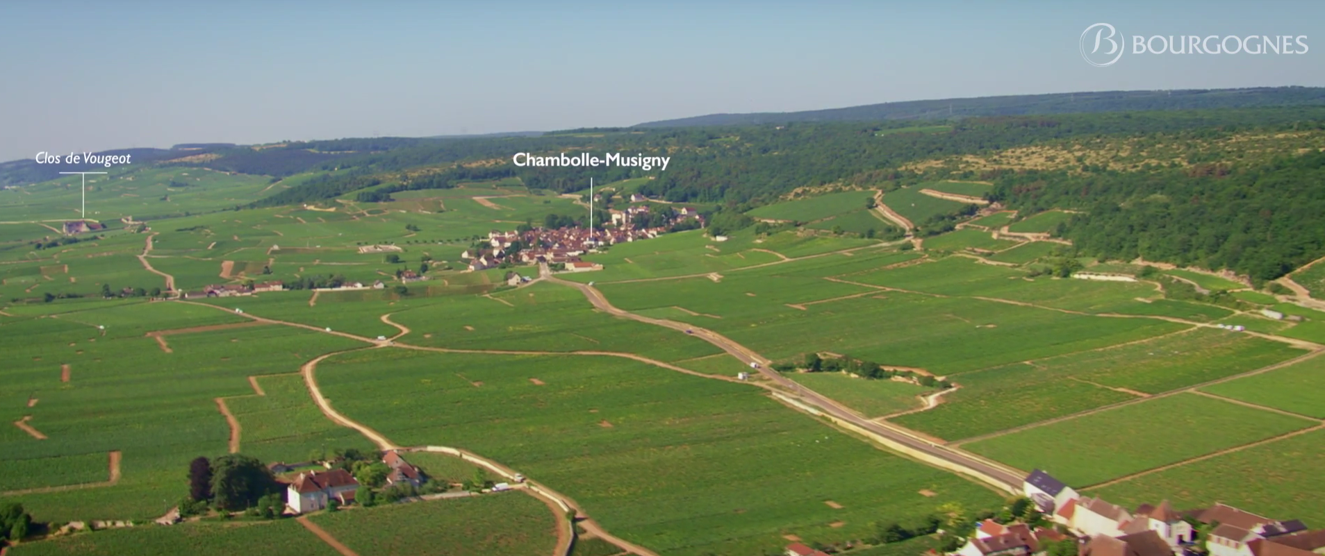 burgundy aerial shoot